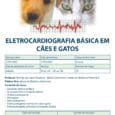 Divulgação – Hospital Veterinário.