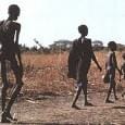 925 milhões de pessoas passam fome no mundo. Considerada como sendo a maior tragédia do mundo a fome mata uma criança a cada 06 segundos (Putz!). No montante,...