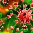 Diabetes: dicas para prevenção e viver melhor. Eu assim como muitas pessoas conhecemos ou temos alguém na família que tem esta doença. Pensando nisto resolvi publicar este...