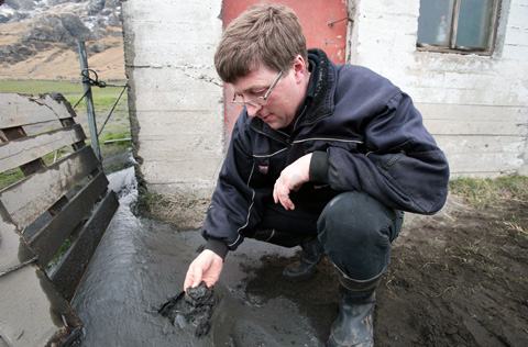 Eyjafjallajokull-agricultor-lama