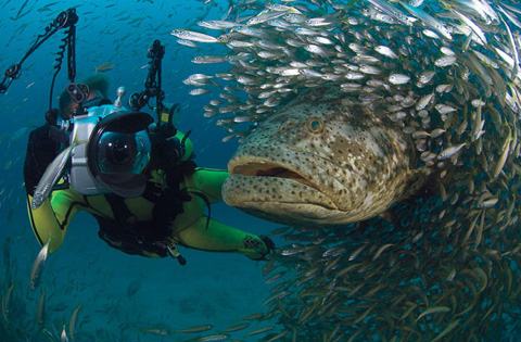 30 melhores fotos da National Geographic