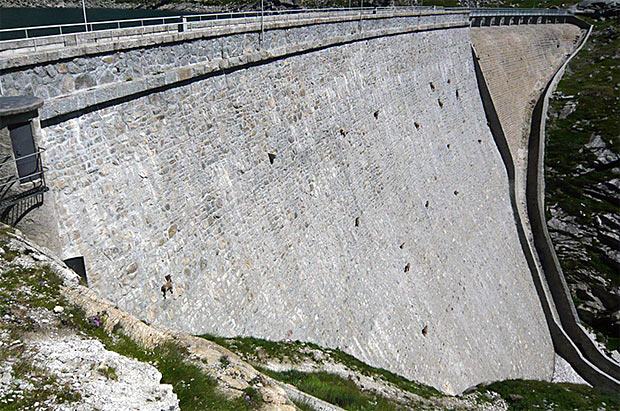 Desafiando a morte por sais minerais: bode Ibex Europeu