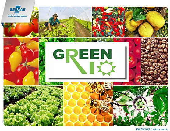 ALIMENTOS-ORGANICOS-GREEN-RIO-2016