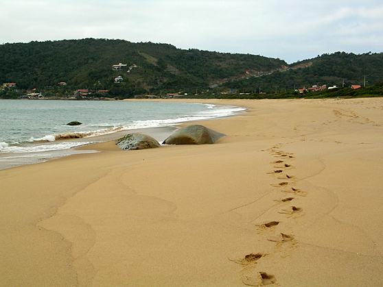 Quanto Vale Uma Pisada?…