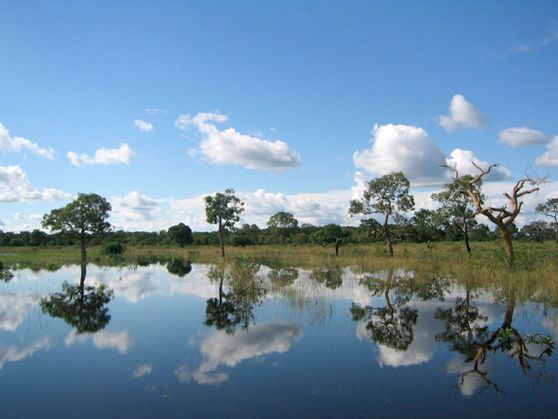 Conheça as atrações e passeios que você pode fazer em sua primeira visita ao Pantanal