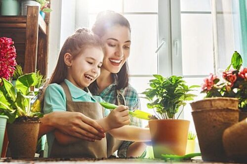 Dicas para cuidar de suas flores e plantas - Duniverso - Vida ...