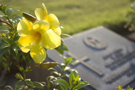Funeral de luxo é tendência para homenagear entes queridos