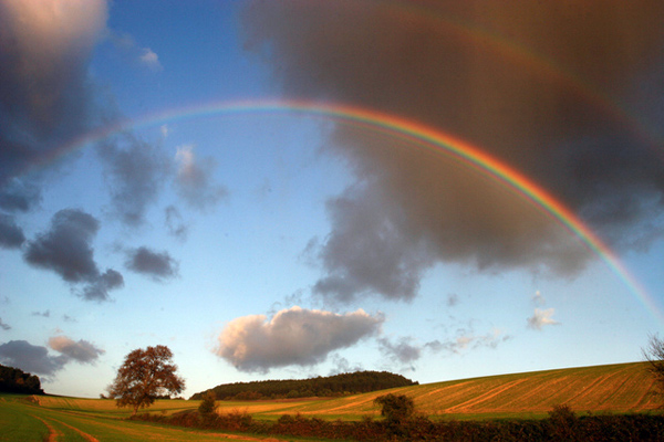 COM TODAS AS CORES DO ARCO-ÍRIS