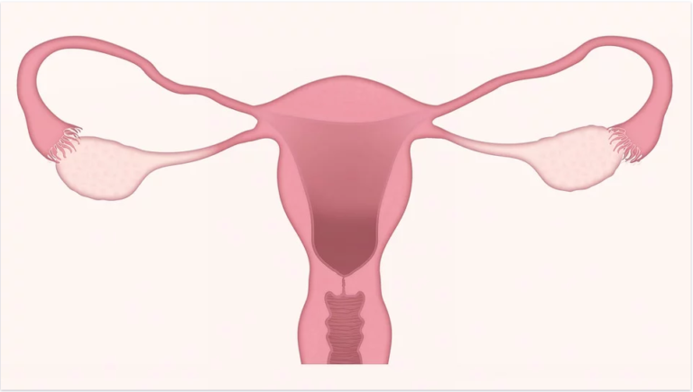 Como melhorar a qualidade de vida durante o período menstrual